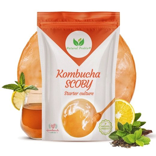 Pouch of kombucha SCOBY starter culture by Natural Probio